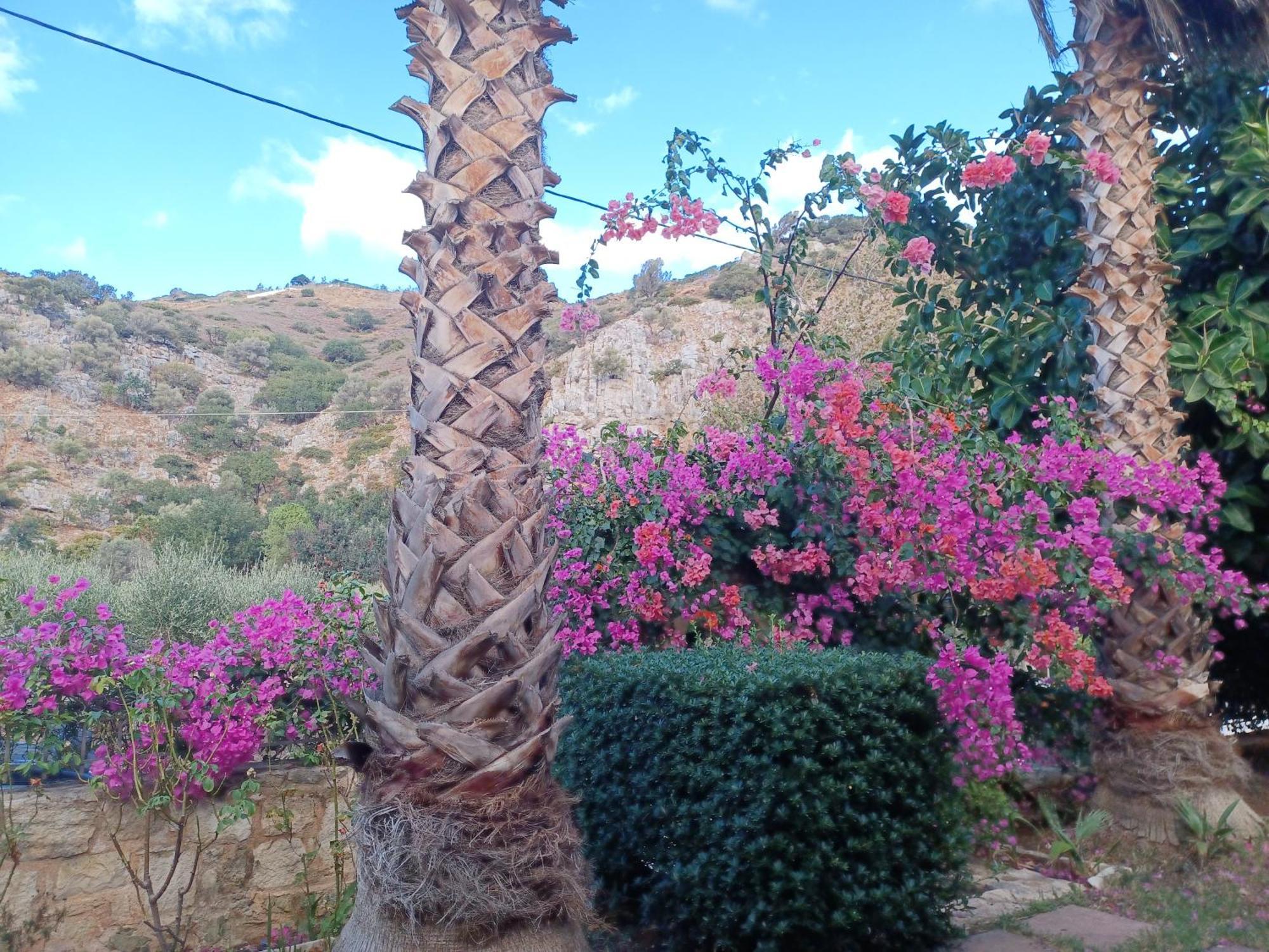 Heraklion Comfy House With Mountain View Eksteriør bilde